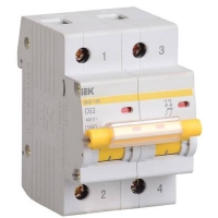 Автоматический выключатель ВА 47-100 2Р 10А 10 кА характеристика С ИЭК MVA40-2-010-C 
			